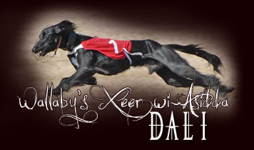 Dali � Arto Ojanper�