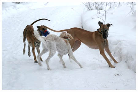 Photo � Arto Ojanper�