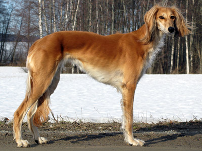 Hasina ca. 3 years