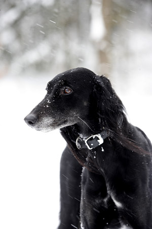 Achthamar Badii'ah & Al-Yasamin Ameena