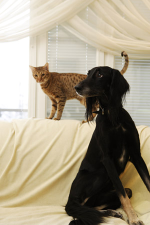 Achthamar Badii'ah & Al-Yasamin Ameena