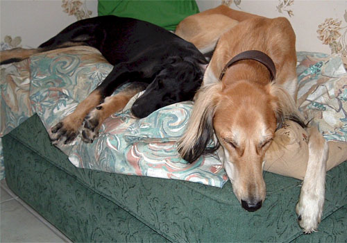 Achthamar Badii'ah & Kirman Samira