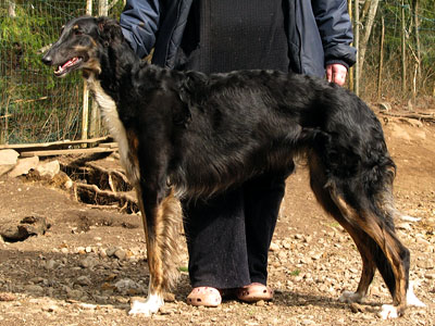 Ljubuska Udatchnik 3,5 years