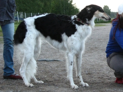 Skatiya 2 years