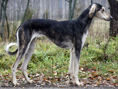Salma ca. 1,5 years