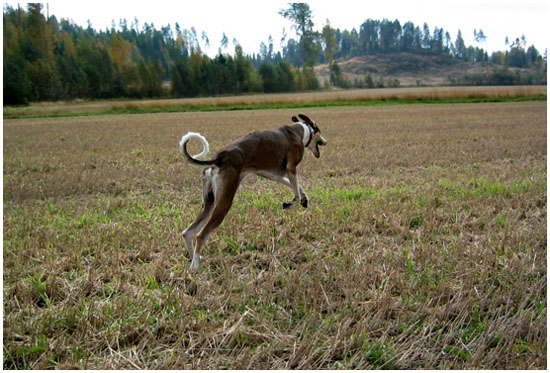 .tuolla on varmasti jotain.