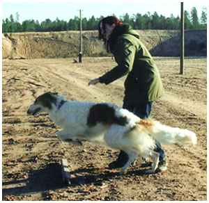 . igor ja sanja harjavallassa 21.10. 2001 .