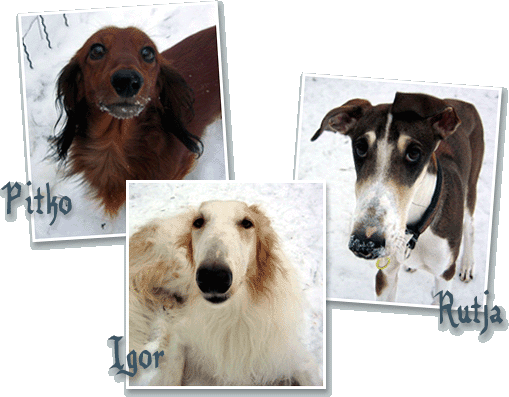 Pitko & Igor & Rutja