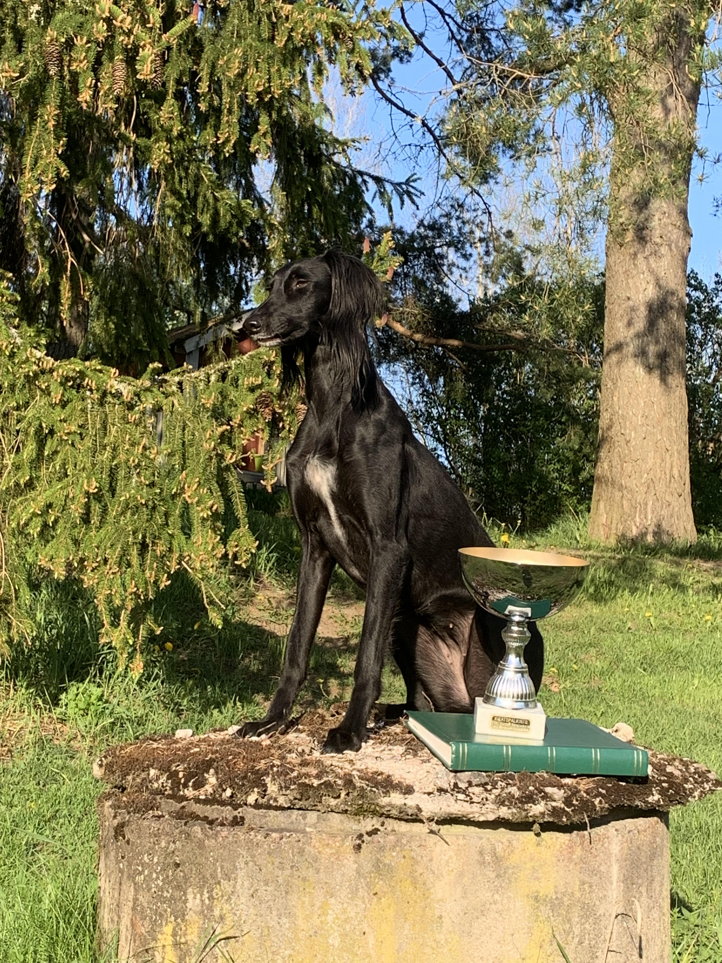 SVKL Vuoden ratajuoksija 2021 © Pirjo Puttonen