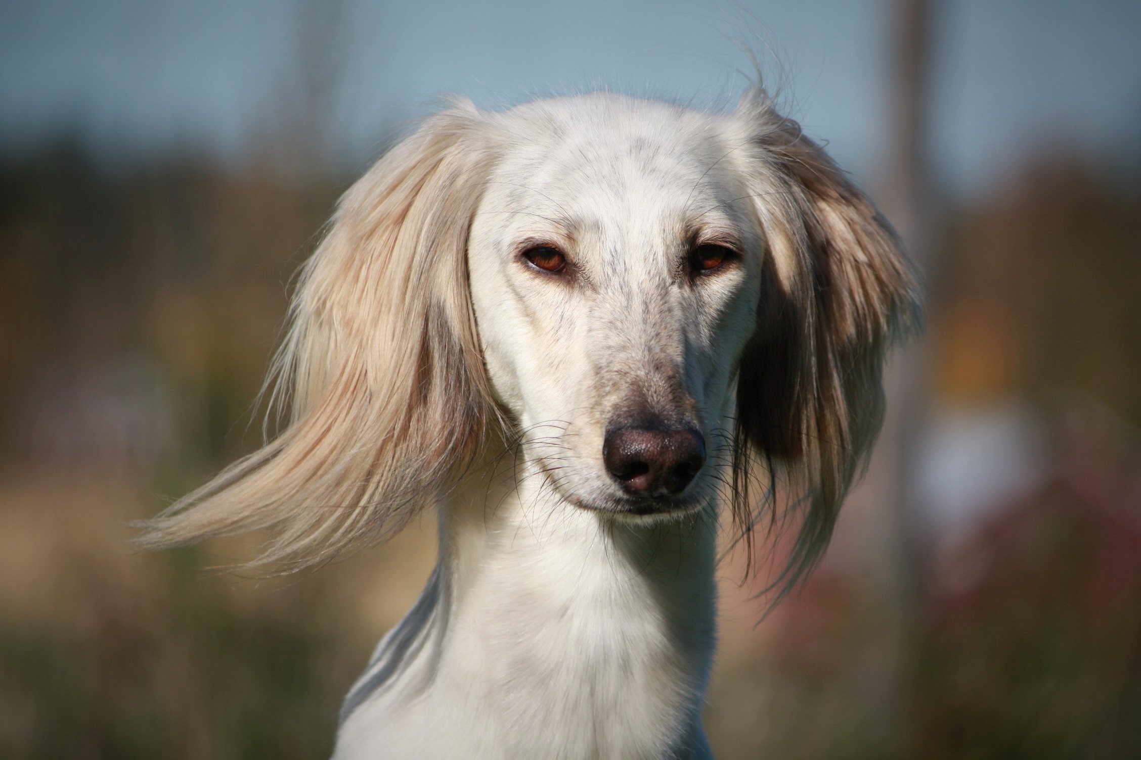 Yuzak Afrasiyab © Pirjo Puttonen